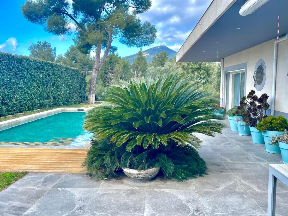 Chambre Luxe Dans Villa De Standing Avec Piscine, Acces Discret Et Independant, Terrasse Arboree Et Parking Prive La Valette-du-Var Exterior photo